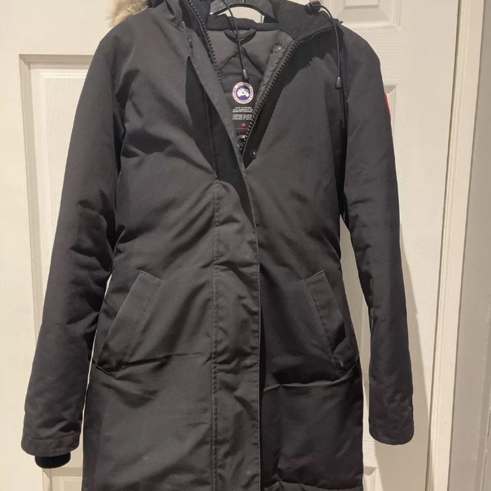 Canada goose Victoria
